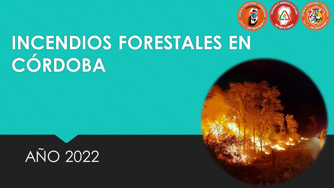 Dirección de Operaciones: Relevamiento de Incendios Forestales 2022