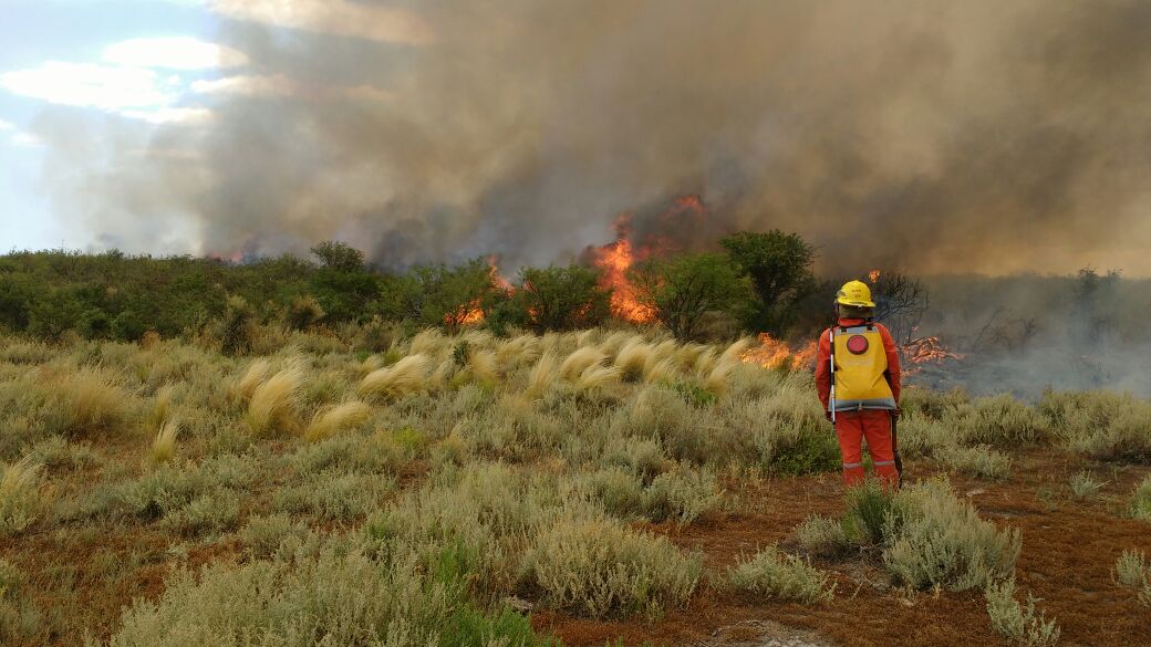 Bomberos de nuestra Federación en incendios forestales de La Pampa